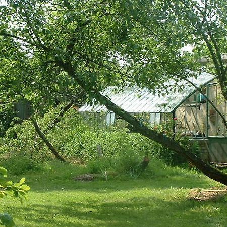 Chambres D'Hotes Le Pont Romain Montfort-le-Gesnois Exteriör bild